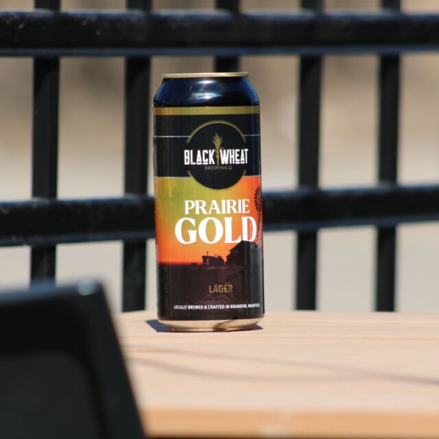 Ready to crush it on the patio! 🍻 Introducing Prairie Gold Lager; this new release comes onto the shelves next week! 

Light, simple and a great Value! 🍺